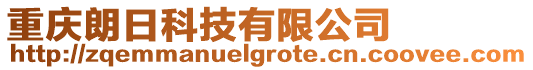 重慶朗日科技有限公司