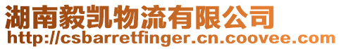 湖南毅凱物流有限公司