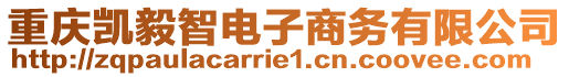 重慶凱毅智電子商務(wù)有限公司