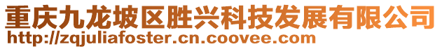 重慶九龍坡區勝興科技發展有限公司