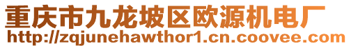重慶市九龍坡區歐源機電廠