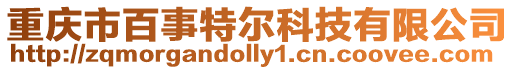 重慶市百事特爾科技有限公司
