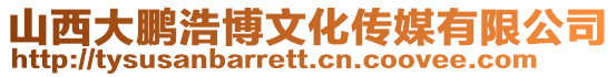山西大鵬浩博文化傳媒有限公司