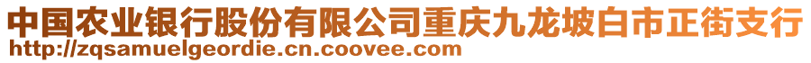 中國(guó)農(nóng)業(yè)銀行股份有限公司重慶九龍坡白市正街支行