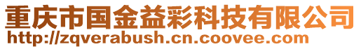 重慶市國金益彩科技有限公司