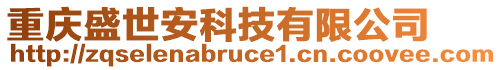 重慶盛世安科技有限公司