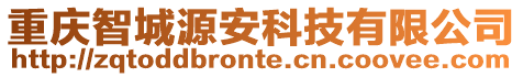 重慶智城源安科技有限公司