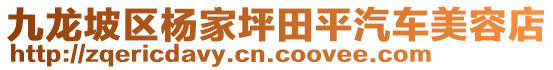 九龍坡區(qū)楊家坪田平汽車美容店