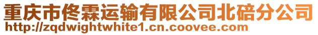 重慶市佟霖運輸有限公司北碚分公司