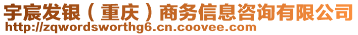 宇宸發(fā)銀（重慶）商務(wù)信息咨詢(xún)有限公司