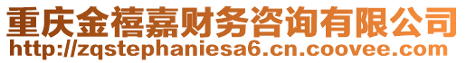 重慶金禧嘉財務咨詢有限公司