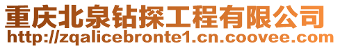 重慶北泉鉆探工程有限公司