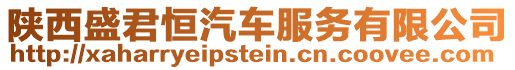 陜西盛君恒汽車服務有限公司