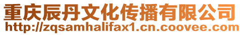 重慶辰丹文化傳播有限公司