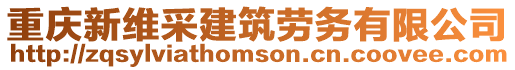 重慶新維采建筑勞務有限公司