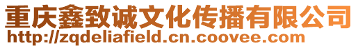 重慶鑫致誠文化傳播有限公司