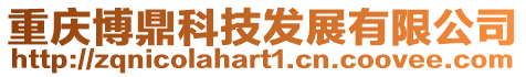 重慶博鼎科技發展有限公司