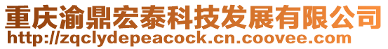 重慶渝鼎宏泰科技發展有限公司