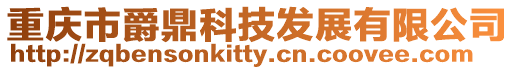 重慶市爵鼎科技發(fā)展有限公司
