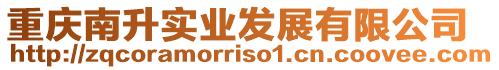 重慶南升實業發展有限公司