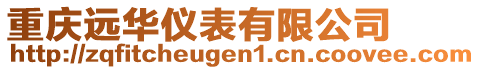 重慶遠華儀表有限公司