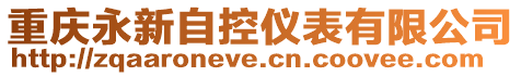 重慶永新自控儀表有限公司