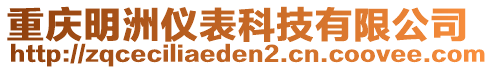 重慶明洲儀表科技有限公司