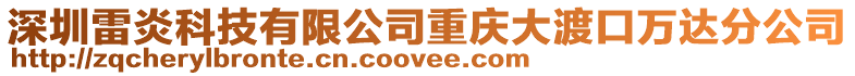深圳雷炎科技有限公司重慶大渡口萬達分公司