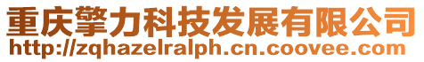 重慶擎力科技發展有限公司
