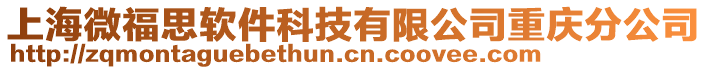 上海微福思軟件科技有限公司重慶分公司