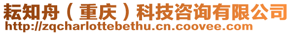 耘知舟(重慶)科技咨詢有限公司