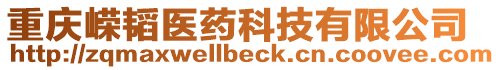 重慶嶸韜醫(yī)藥科技有限公司