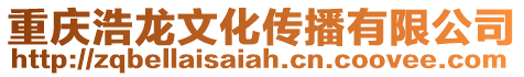 重慶浩龍文化傳播有限公司