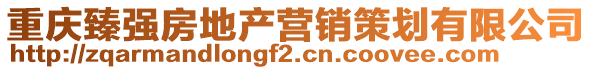 重慶臻強(qiáng)房地產(chǎn)營(yíng)銷(xiāo)策劃有限公司