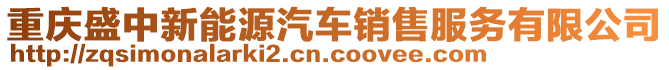 重慶盛中新能源汽車銷售服務(wù)有限公司