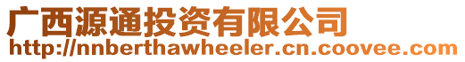 廣西源通投資有限公司