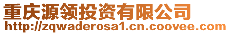 重慶源領(lǐng)投資有限公司