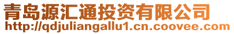 青島源匯通投資有限公司