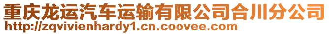 重慶龍運汽車運輸有限公司合川分公司