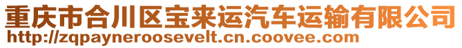 重慶市合川區(qū)寶來運(yùn)汽車運(yùn)輸有限公司