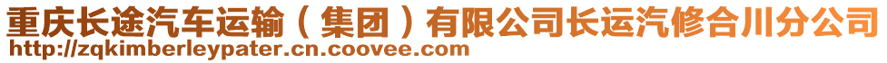 重慶長(zhǎng)途汽車運(yùn)輸（集團(tuán)）有限公司長(zhǎng)運(yùn)汽修合川分公司