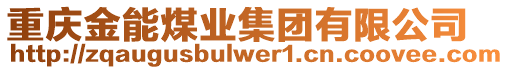 重慶金能煤業(yè)集團(tuán)有限公司