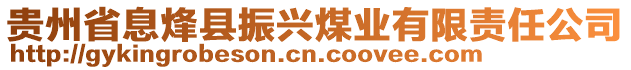 貴州省息烽縣振興煤業(yè)有限責任公司