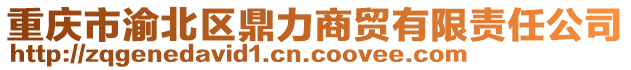 重慶市渝北區(qū)鼎力商貿(mào)有限責(zé)任公司