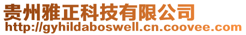 貴州雅正科技有限公司