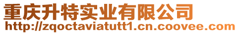 重慶升特實業有限公司