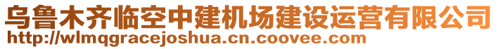 烏魯木齊臨空中建機(jī)場(chǎng)建設(shè)運(yùn)營(yíng)有限公司