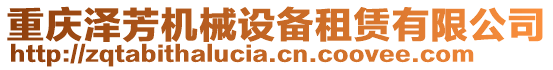 重慶澤芳機械設備租賃有限公司