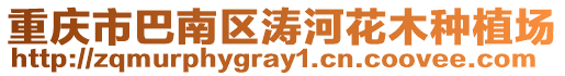 重慶市巴南區(qū)濤河花木種植場(chǎng)