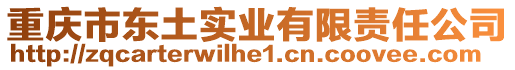 重慶市東土實(shí)業(yè)有限責(zé)任公司